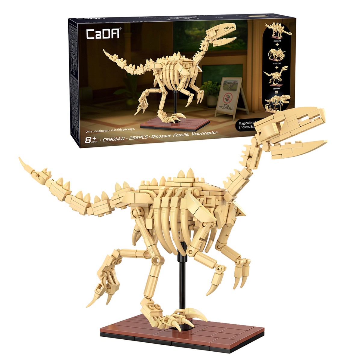 Cada Dinosaur Fossils: Velociraptor | Brick Model Kit